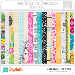 Sketchbook Amy Tangerine PP2 American Crafts