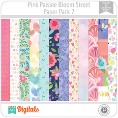 Bloom Street Pink Paislee PP2 American Crafts