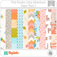 Little Adventurer Pink Paislee PP2 American Crafts