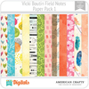 Field Notes Vicki Boutin PP1 American Crafts