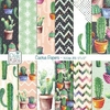 Colección Cactus