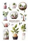 Hoja de Elementos Houseplants