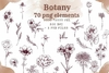 Hoja de Elementos Botany (Flores)