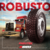 Pneu 215/75R17.5 16PR 126/124L Robusto P1 XBRI - Cia do Borracheiro