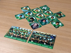 Pack Rombos "Ferro Carril Oeste Campeon 1984" x13u. + 2 Cards - comprar online