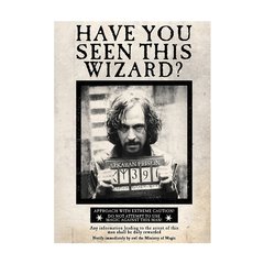 Diario Sirius Black - Harry Potter