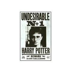 Folleto Harry Potter Undesirable Nro. 1