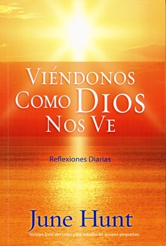 Viéndonos como Dios nos ve - Bolsilibro - comprar online