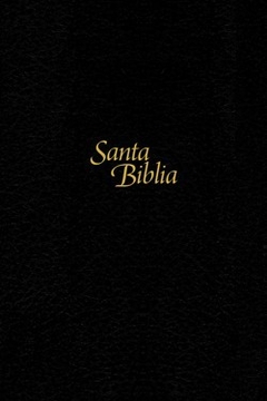 Biblia NTV-Edicion Personal/Letra Grande/Negro/Tapa Dura De Sentipiel - comprar online