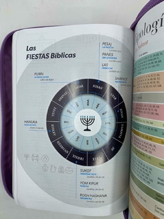 Biblia RVR1960 Lila Cierre Canto Dorado en internet