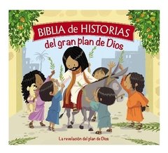 Biblia De Historias Del Gran Plan De Dios - comprar online