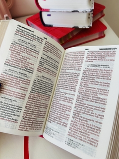 Imagen de Biblia de bolsillo RVR Fucsia con canto dorado