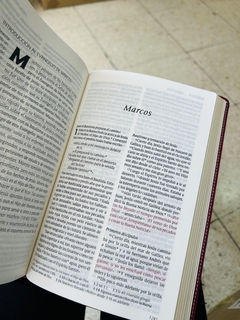 Biblia NTV Edición Personal Letra Grande Jardín Morado Sentipiel - comprar online