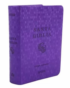 Santa Biblia NVI Letra Grande Tamaño Bolsillo Violeta