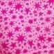 ENTERA "PARADISE" COLOR FUCSIA - MINI PROMESSE - ART. 60069 en internet