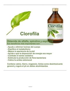 Clorofila Con Magnesio Natier, Desintoxica - comprar online