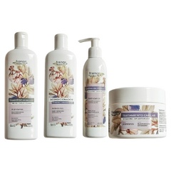 Shampoo+Acondicionar+Tratamiento capilar+Crema de Peinar Arándano Frenzzi