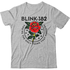 Blink 182 - 14 en internet