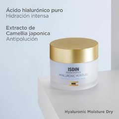 ISDINCEUTICS Hyaluronic Moisture Normal to Dry - 50 gr - comprar online