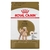 Royal Canin poodle caniche adulto