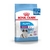 Royal Canin giant puppy - comprar online