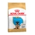 Royal Canin ovejero junior