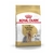 Royal Canin yorkshire terrier adulto