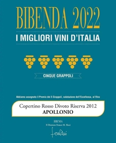 Apollonio Divoto Riserva Speciale 2012 | Puglia - comprar online