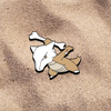 Pin Marowak