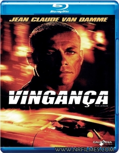 Vingança (2004) Blu-ray Dublado Legendado