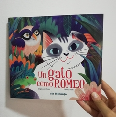 Un gato como Romeo