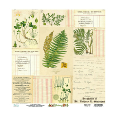 Folha para Scrapbook - Mintay Papers - Folha de Scrap Coleção Botany - MT-BOT-04 na internet