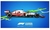 jogo F1 2021 - PlayStation 4 - comprar online