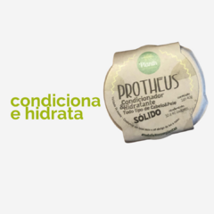 Condicionador Planth Protheus - 50g