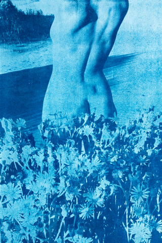 A flor de piel, Print de Cianotipia, Clara Z