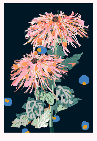 Print, Crisantemos, 42 x 30 cm, Santiago Paredes