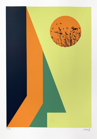 Serigrafía Green Corner, 35 x 50 cm, Claudio Roncoli