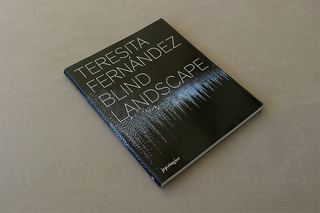 Teresita Fernández, Blind Landscape
