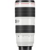 Lente Canon EF 70-200mm f/2.8L IS III USM - comprar online