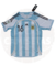 Argentina titular 2006 Aimar