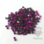 STRASS DE VIDRO PINK 1,8MM - 1.000 UN