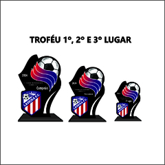 KIT 01 DE TROFÉUS E MEDALHAS FUTEBOL DE CAMPO - Strongfit Equipamentos