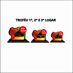 KIT 01 DE TROFÉUS E MEDALHAS KARATÊ na internet