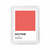 Cuadro Pantone Living Coral - comprar online