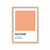 Cuadro Pantone Coral Sands en internet