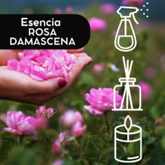 Esencia ROSA DAMASCENA - comprar online