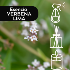 Esencia VERBENA LIMA