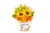 Cesta Presente Floral Cachepot na internet
