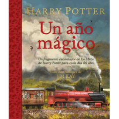 HARRY POTTER UNA AÑO MAGICO (HC)