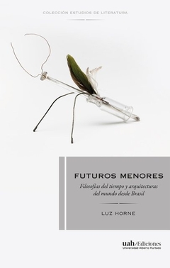 Futuros menores - Filosofías del tiempo y arquitecturas del mundo desde Brasil
